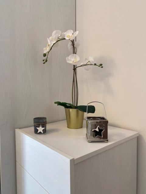 Outlet Vivaldi